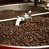 coffee roaster Arabica Coffee Beans: Arabica coffee beans are the most popular type of coffee bean in the world. They're grown in humid climates and their flavor is smoother than other types of coffee beans like Robusta.