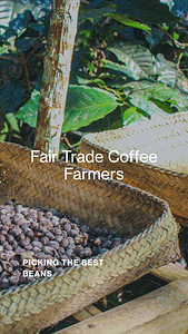 Designer 35 Fair Trade Coffee is coffee that is certified as having been produced to fair trade standards by fair trade organizations, which create trading partnerships based on dialogue, transparency, and respect, with the goal of achieving greater equity in international trade. The importance of Fair Trade Coffee lies in its contribution to sustainable development by offering better trading conditions to coffee bean farmers.