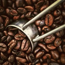 worlds best coffee beans