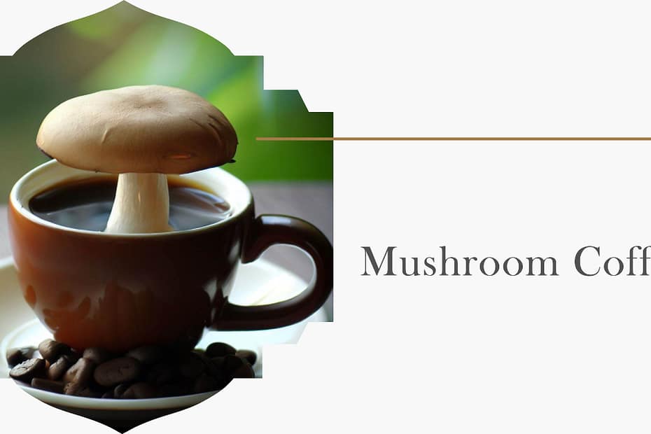 Design 19 Mushroom coffee is a beverage made from coffee beans and ground mushrooms. The mushrooms are typically adaptogenic mushrooms, which means they help the body manage stress and restore balance. Mushroom coffee is often marketed as a healthier alternative to traditional coffee, with claims that it can improve cognitive function, reduce inflammation, and boost the immune system.